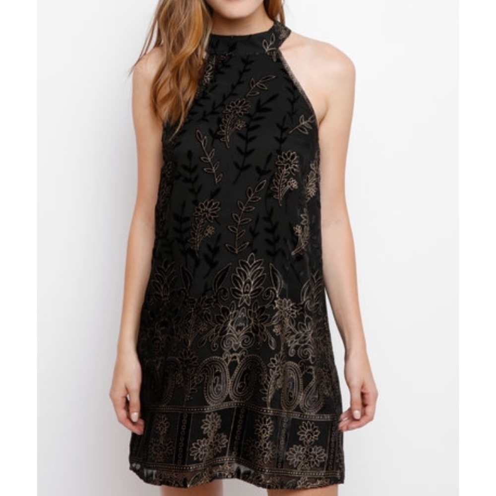 Lost + wander velvet swing dress! NWT!